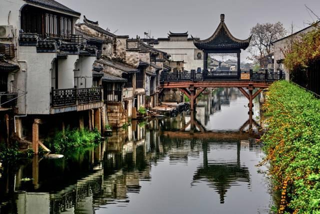 小僵尸射飞鸟