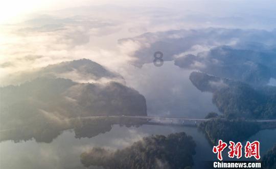 为什么胃液都消化不了金针菇？